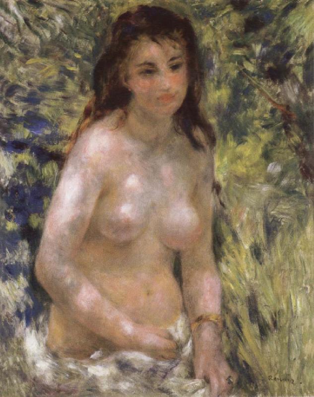 Pierre-Auguste Renoir Nude in the Sunlight China oil painting art